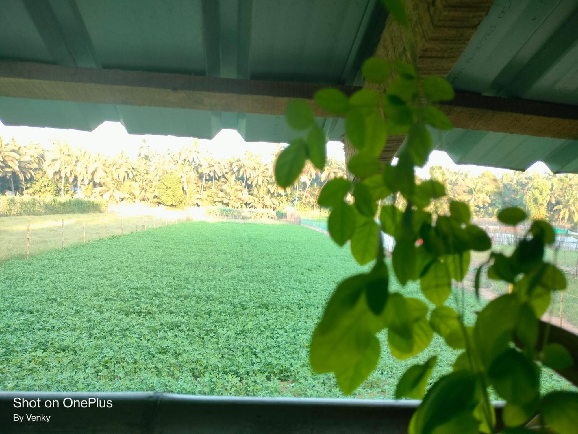 Ocean Sparrow Beach Stay Gokarna  Room photo